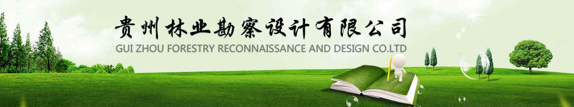 orange橘子平台网站欢迎图片