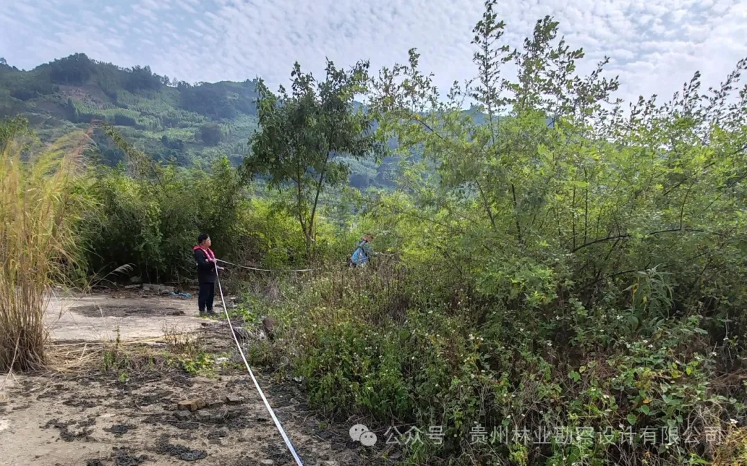 640?wx_fmt=jpeg&from=appmsg 图片