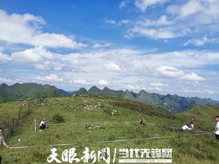 1735896258100014.jpg 图片
